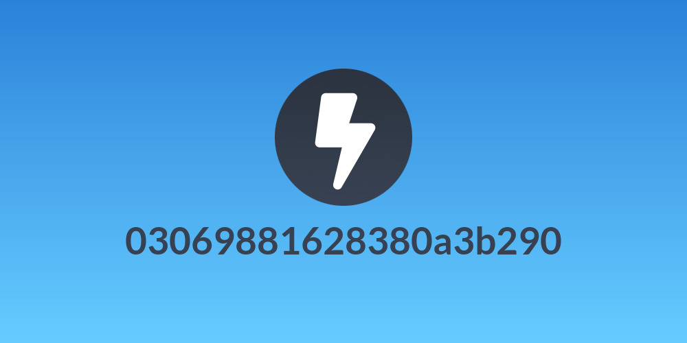 03069881628380a3b290